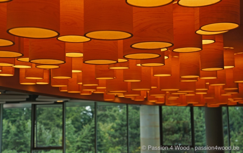 Kaa Gent Ghelamco lounge - Bar - more than 200 tube lamps mounted as ceiling lights giving a fantastic sculptural experience 2